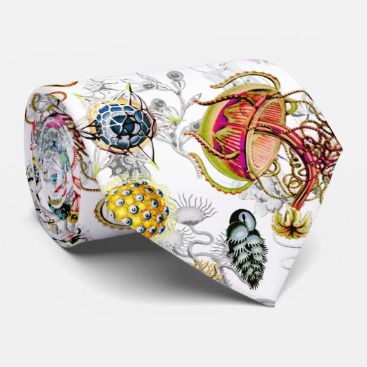 Haeckeliana Stropdas (Opgerold)