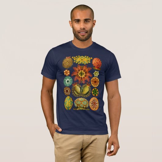 HAECKEL'S ASCIDIACEA - T-Shirt (Voorkant volledig)