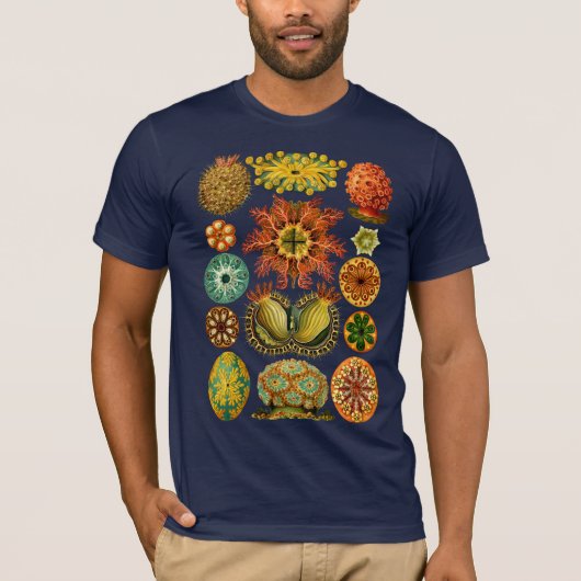 HAECKEL'S ASCIDIACEA - T-Shirt (Voorkant)