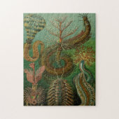 Haeckel's Chaetopoda Jigzaag Puzzle Legpuzzel (Verticaal)