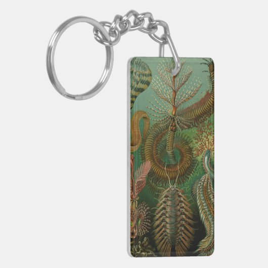 Haeckel's Chaetopoda Sleutelhanger (Voorkant Links)
