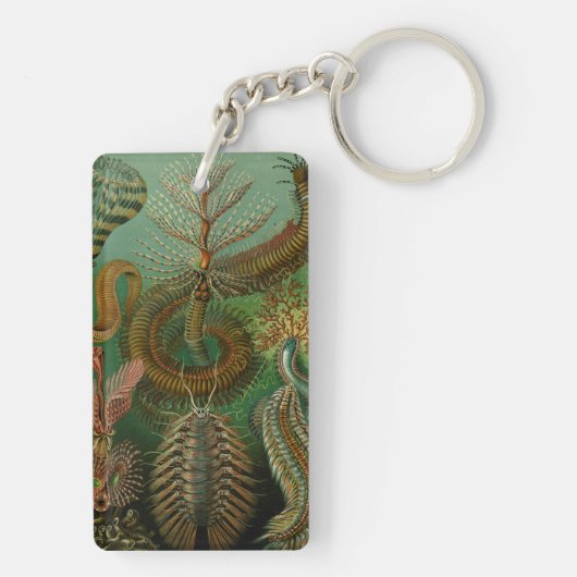 Haeckel's Chaetopoda Sleutelhanger (achterkant)