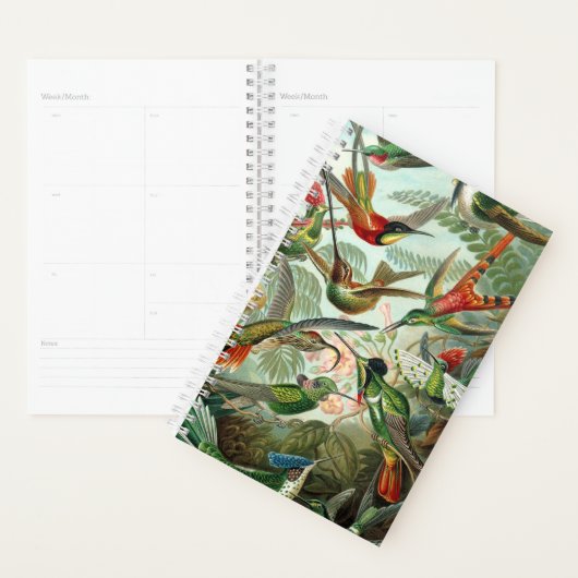 Haeckel's Hummingbird Planner (Display)