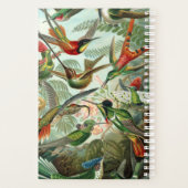 Haeckel's Hummingbird Planner (Achterkant)