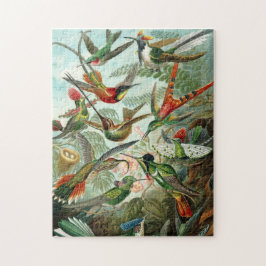 Haeckel's Hummingbird Puzzle Legpuzzel