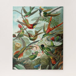 Haeckel's Hummingbird Puzzle Legpuzzel