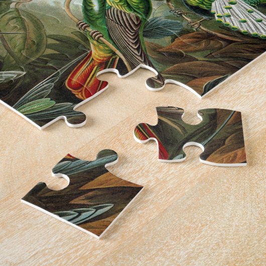 Haeckel's Hummingvogels Jigzaag Puzzle Legpuzzel (Zijkant)