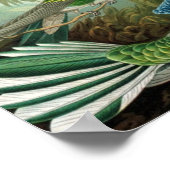 Haeckel's Poster voor de vermenging van vogels (Hoek)