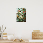 Haeckel's Poster voor de vermenging van vogels (Keuken)