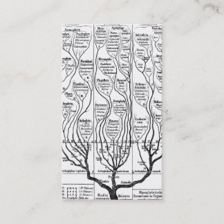 Haeckels structuur van levensprofielkaart visitekaartje