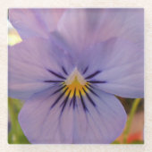 Haetzlern Glazen Onderzetter (Voorkant)