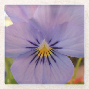 Haetzlern Glazen Onderzetter