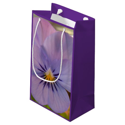 Haetzlern Klein Cadeauzakje (Achterkant Gekanteld)