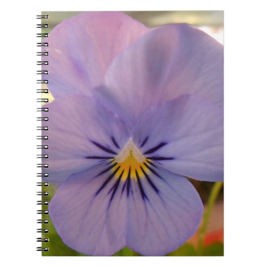 Haetzlern Notitieboek (Voorkant)