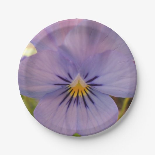 Haetzlern Papieren Bordje (Voorkant)