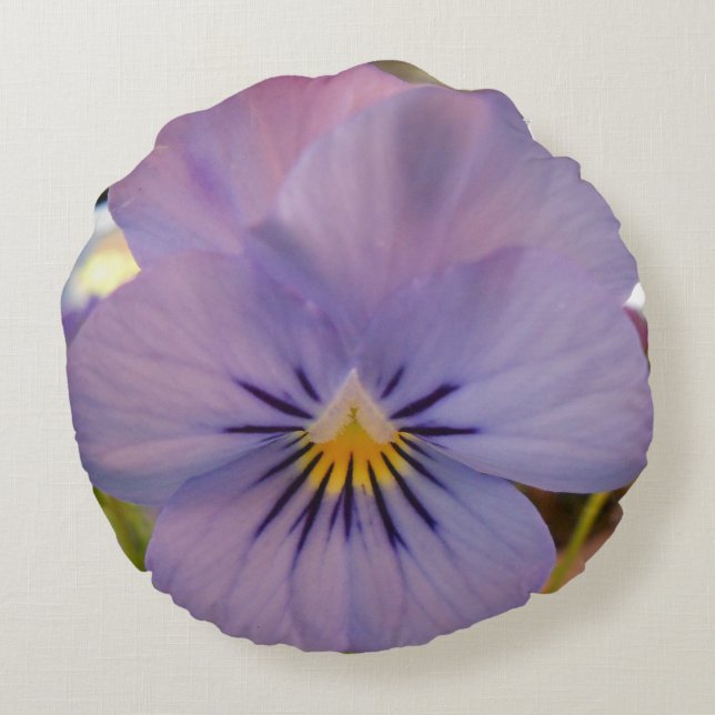 Haetzlern Rond Kussen (Achterkant)