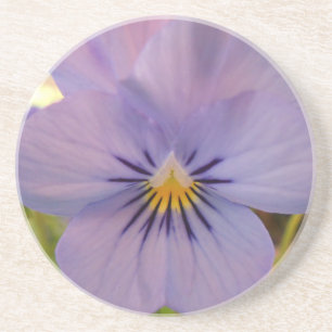 Haetzlern Zandsteen Onderzetter