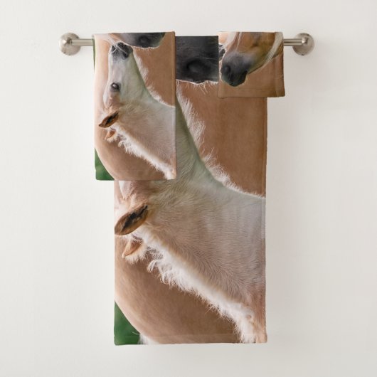 Haflinger Cute Horses Foal and Mama Cuddling Kiss. Bad Handdoek (Insitu)