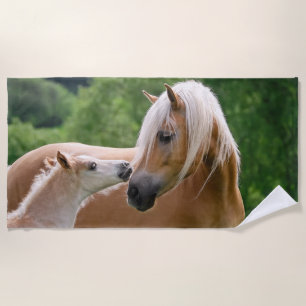 Haflinger Cute Horses Foal and Mama Cuddling Kiss Strandlaken