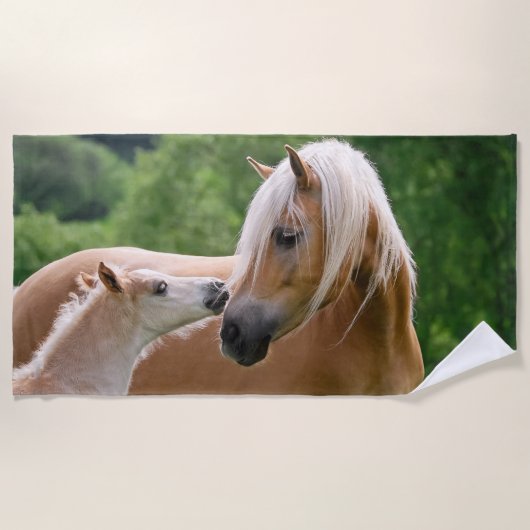 Haflinger Cute Horses Foal and Mama Cuddling Kiss Strandlaken (Voorkant)