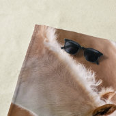 Haflinger Cute Horses Foal and Mama Cuddling Kiss Strandlaken (In situ)