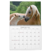 Haflinger Foals - formaat medium Kalender (Feb 2027)
