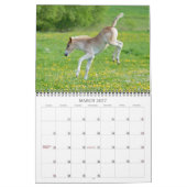Haflinger Foals - formaat medium Kalender (Mar 2027)