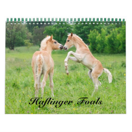 Haflinger Foals - formaat medium Kalender