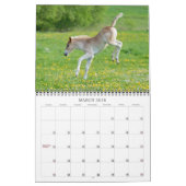 Haflinger Foals - formaat medium Kalender (Mar 2018)