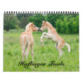 Haflinger Foals - formaat medium Kalender (Hoes)