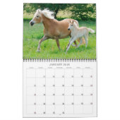 Haflinger Foals - formaat medium Kalender (Jan 2018)
