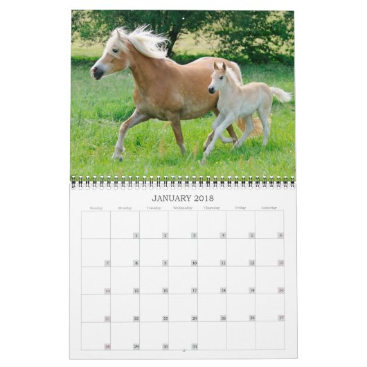 Haflinger Foals - formaat medium Kalender (Jan 2018)