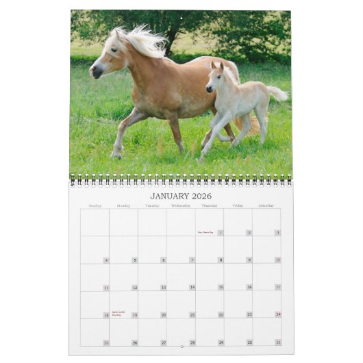 Haflinger Foals - formaat medium Kalender (Jan 2026)