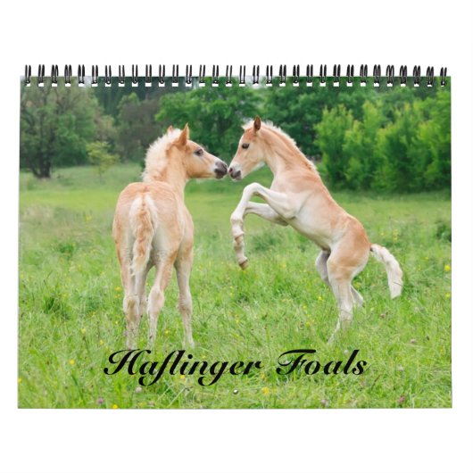 Haflinger Foals - formaat medium Kalender (Hoes)