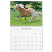 Haflinger Foals - groot Kalender (Jan 2027)