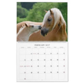 Haflinger Foals - groot Kalender (Feb 2027)