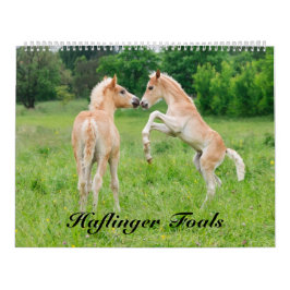 Haflinger Foals - groot Kalender