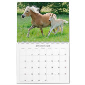 Haflinger Foals - groot Kalender (Jan 2018)