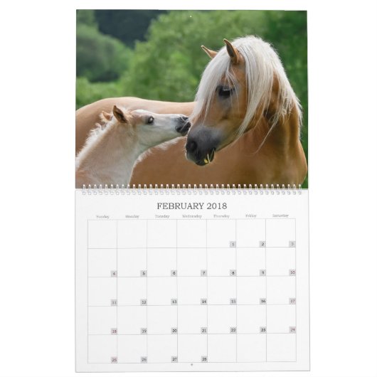 Haflinger Foals - groot Kalender (Feb 2018)