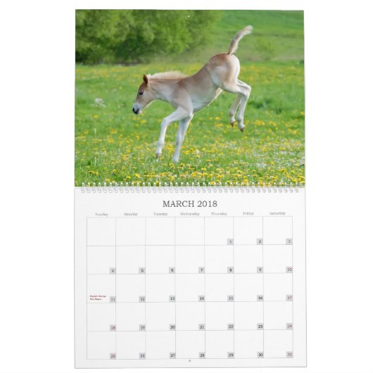 Haflinger Foals - groot Kalender (Mar 2018)