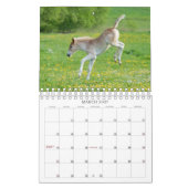 Haflinger Foals - klein Kalender (Mar 2027)