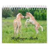 Haflinger Foals - klein Kalender (Hoes)