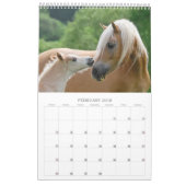 Haflinger Foals - klein Kalender (Feb 2018)