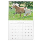 Haflinger Foals - klein Kalender (Jan 2018)