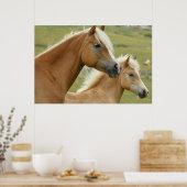 Haflinger horse and foal poster (Keuken)