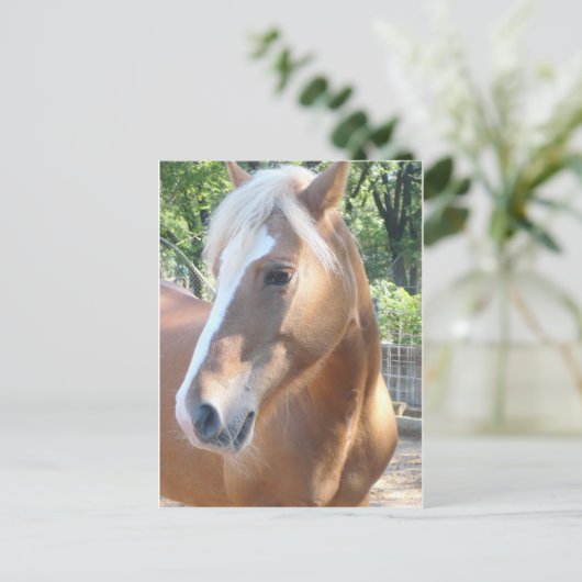Haflinger Horse Briefkaart (Staand voorkant)