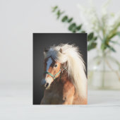 Haflinger Horse Briefkaart (Staand voorkant)