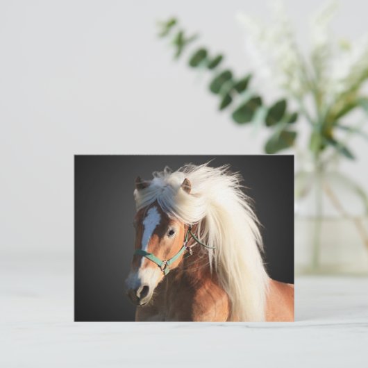 Haflinger Horse Briefkaart (Staand voorkant)