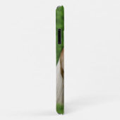 Haflinger Horse Cute Baby Foal Kiss Mum Pony Foto Case-Mate iPhone Case (Achterkant/rechts)