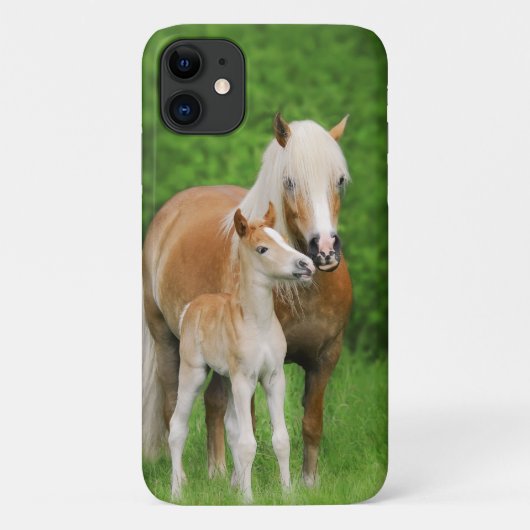 Haflinger Horse Cute Baby Foal Kiss Mum Pony Foto Case-Mate iPhone Case (Achterkant)